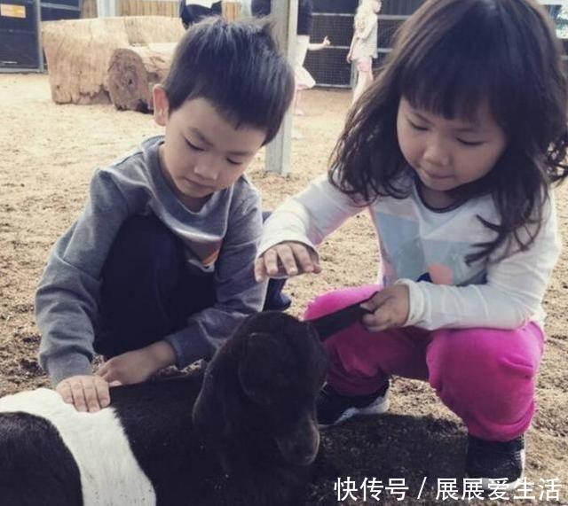 离婚案最终判决曝光 王宝强的钱终于拿回来了