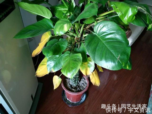 t01ec8b2a3d5be62667.jpg