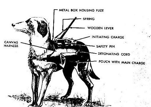 反坦克犬结构图