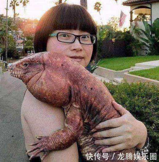 重口味女孩养巨大蜥蜴当宠物,金毛见到后被吓