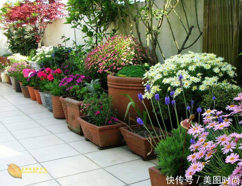 有个“露台花园”折腾,真好!此景此情,喝茶,看书 太惬意啦!