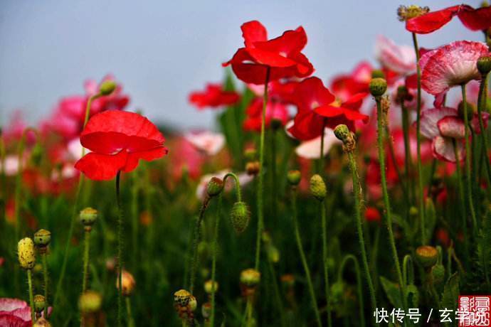 未来一周，财神缠身，横财入宅，生意越做越大的3生肖！