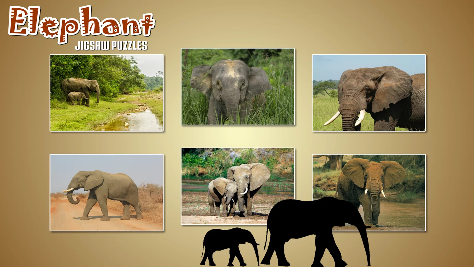 Elephant Jigsaw Puzzle截图15