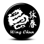 Wing Chun Fighting System