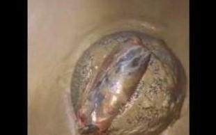 小伙等鱼等得无聊,看到淤泥里埋着一块石头,刚一碰就鲜血直流