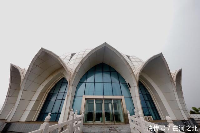 菩提岛 菩提树下 海风拂面 任天地在胸中激荡