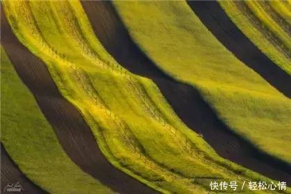 做人淡而久香,不争,不俗