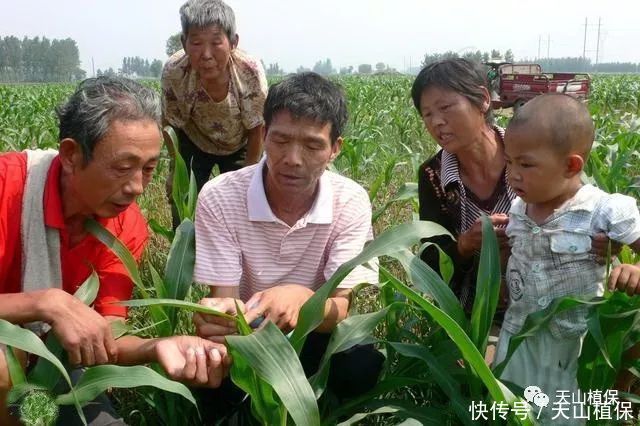 一步一步告诉你怎么注册农民合作社!