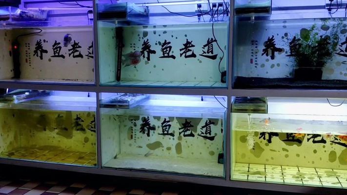 江門水族批發(fā)市場（江門水族批發(fā)市場在哪里）