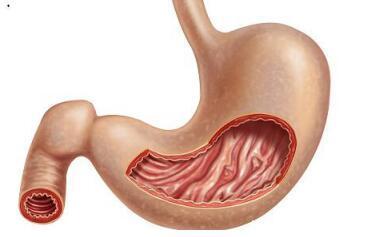 五个症状一出现,小心是胃病找上门!养好胃,只要