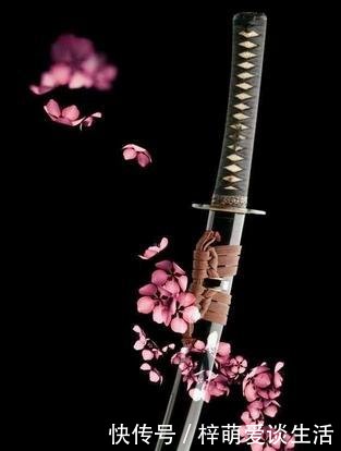 t01fbfd72639305a3b2.jpg?size=313x414