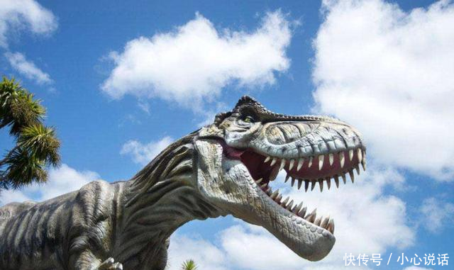 一周有趣科学新闻鼻子不流鼻涕流脑液;AI当月