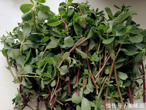 这种菜在农村多如杂草,用来吃的人却很少,在城市是餐桌上的美味