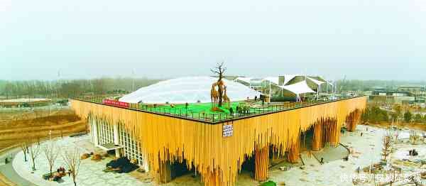 探营北京世园会植物馆为红树林定制海水,百岁