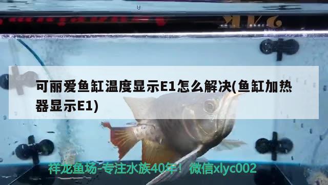 賽罕區(qū)小白水族店（賽罕區(qū)小白水族店地址）