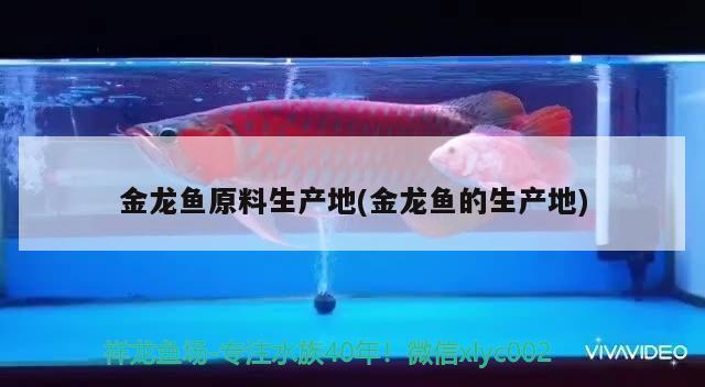 珍珠燕子魚(yú)