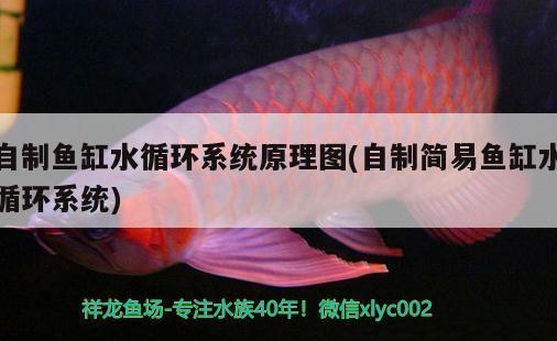 老魚(yú)匠加熱棒溫度校準(zhǔn)（老魚(yú)匠加熱棒溫度校準(zhǔn)完顯示19度）