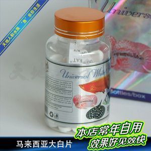 龍魚把大白片吃了沒(méi)事吧怎么辦?。糊堲~不小心吃了大白片會(huì)怎么樣，龍魚吃了大白片會(huì)怎么樣 龍魚百科 第1張