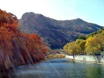 遼寧鞍山魚(yú)缸批發(fā)地址電話號(hào)碼查詢是多少（遼寧鞍山魚(yú)缸批發(fā)地址電話號(hào)碼查詢是多少號(hào)）