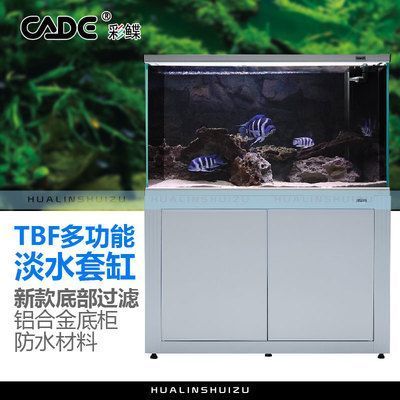 金龍魚屏保圖片大全（金龍魚屏保壁紙） 廣州龍魚批發(fā)市場