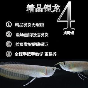 姑苏区胥江路铭旺水族馆（姑苏区胥江路铭旺水族馆电话号码）