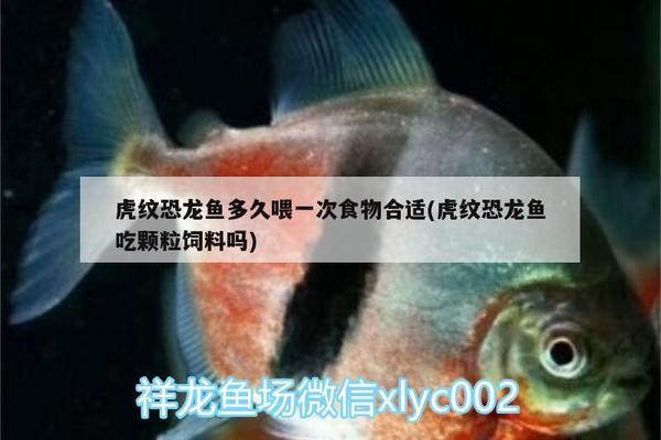 昆明市五華區(qū)霸下水族店（昆明市五華區(qū)霸下水族店電話號(hào)碼）