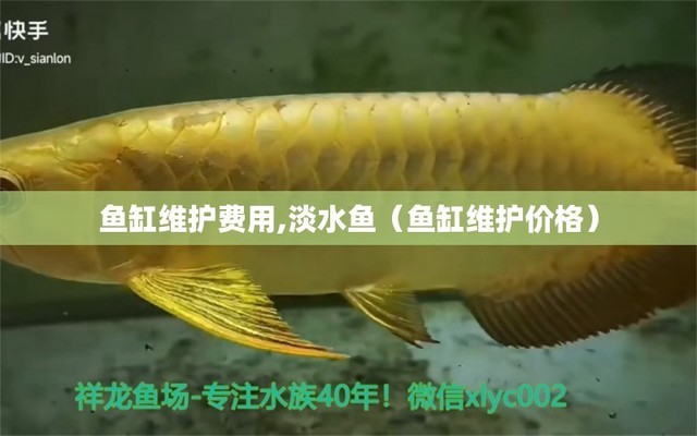 巴南哪里有魚(yú)缸賣呀圖片價(jià)格表（巴南哪里有魚(yú)缸賣呀圖片價(jià)格表大全） 祥龍水族醫(yī)院