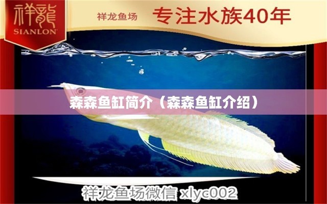 廣州賣龍魚地址在哪里（廣州賣龍魚地址在哪里?。?網(wǎng)上購買觀賞魚