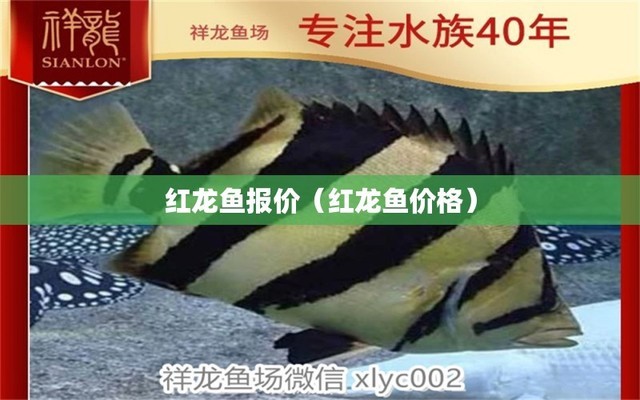 阿拉善左旗巴彥浩特鎮(zhèn)愛尚水藝生態(tài)水族館（阿拉善左旗尚水御都）