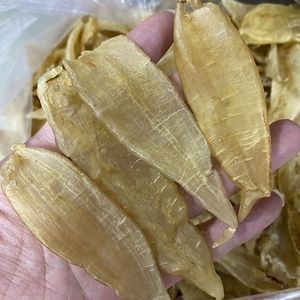 鱼缸用什么过滤器效果最好呢图片（鱼缸用什么过滤器效果最好呢图片大全）