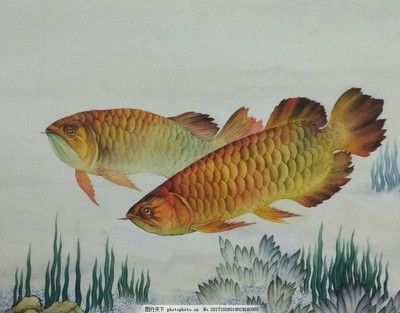 魚缸品牌排行榜前十名中國(guó)有哪些：2020年十大魚缸品牌