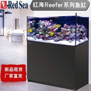 高陵水族館大哥大姐們能幫我看看這是什么品種的