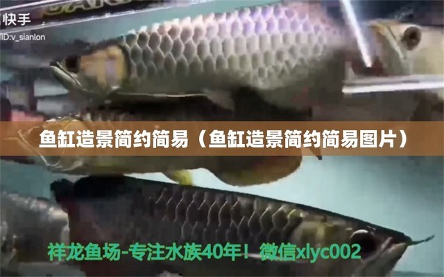 火焰變色龍魚能和什么魚混養(yǎng)呢（火焰變色龍魚能和什么魚混養(yǎng)呢視頻） 馬拉莫寶石魚苗