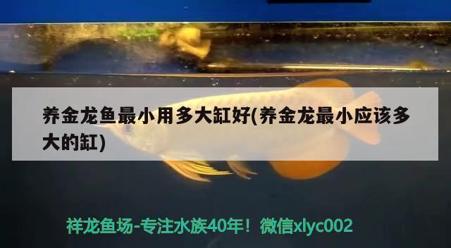 寿光市精诚水族馆（寿光市精诚水族馆电话）