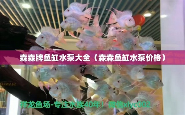 可麗愛(ài)魚(yú)缸和7s魚(yú)缸哪個(gè)好用（可麗愛(ài)魚(yú)缸和7s魚(yú)缸哪個(gè)好用些）