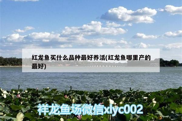 生鲜超市鱼缸定做图片及价格表（生鲜超市鱼缸定做图片及价格表大全）