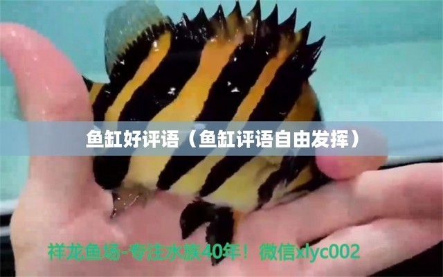 廣州水族批發(fā)市場(chǎng)龍魚身上黑斑黑點(diǎn)原因處理方法