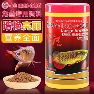 白城觀賞魚市場新一輪折騰換缸換龍已經(jīng)全部到位龍入缸紀(jì)念帖