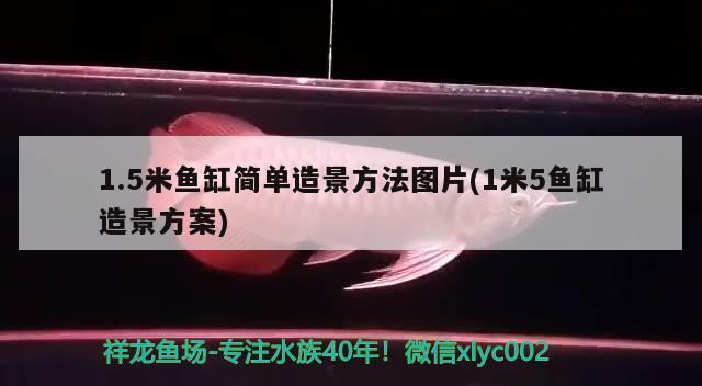 合肥鱼缸回收公司地址及电话号码（合肥鱼缸回收公司地址及电话号码查询）