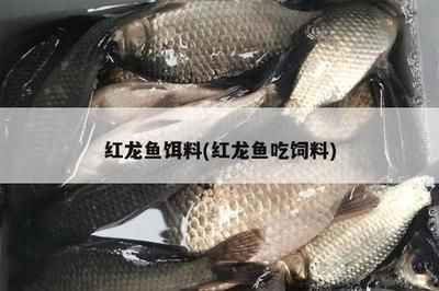 原生態(tài)魚缸造景的設(shè)備叫什么名字