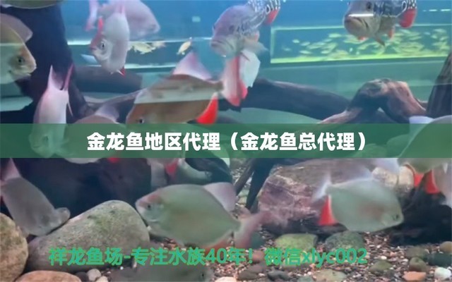 大同市礦區(qū)熱帶森林水族館（大同哪里有水族館） 全國水族館企業(yè)名錄