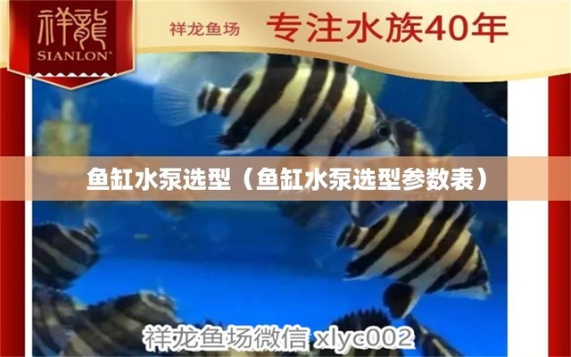 森森魚缸泵能調(diào)節(jié)抽水量（森森魚缸水泵怎么調(diào)） 魚缸水泵