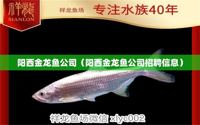 紅龍魚一年長多大正常圖片欣賞（紅龍魚一年長多大正常圖片欣賞大全）