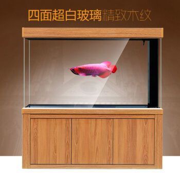 過背紅龍魚圖片大全（過背紅龍魚圖片大全大圖）