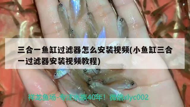 魚缸里有水草還需要換水嗎（魚缸里有水草還需要換水嗎視頻） 水草