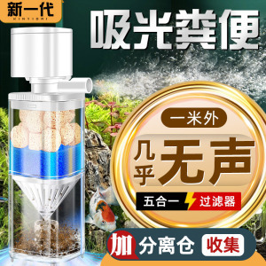 七彩用多大鱼缸好（七彩用多大鱼缸好养）