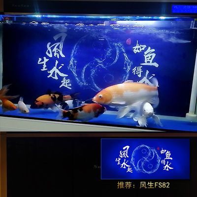 周村怡佳水族用品經(jīng)營部（周村怡佳水族用品經(jīng)營部地址） 水族用品