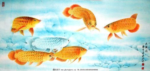 太谷縣建維魚(yú)店 全國(guó)水族館企業(yè)名錄