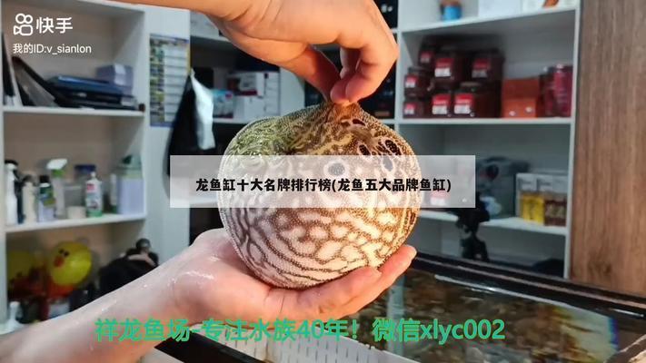 十大龍魚(yú)魚(yú)缸品牌有哪些：尚藝龍魚(yú)魚(yú)缸品牌：尚藝龍魚(yú)魚(yú)缸品牌龍魚(yú)魚(yú)缸品牌 魚(yú)缸百科 第3張