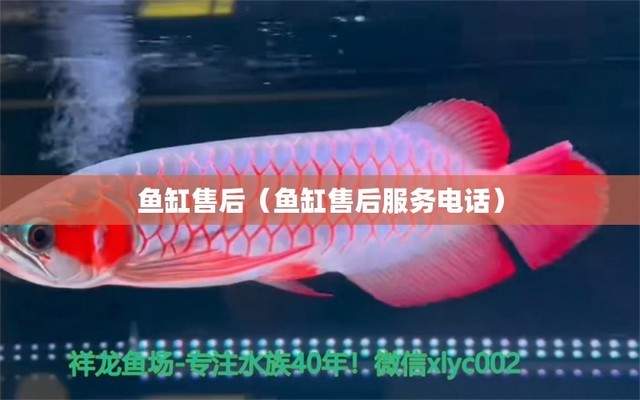 鄭州觀賞魚市場(chǎng)國(guó)慶長(zhǎng)假結(jié)束了明天開工嘍